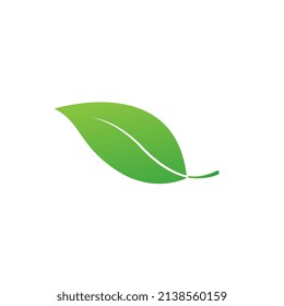 Creación del logotipo de la hoja VERDE, patrón de hoja fresca natural, hojas verdes sobre BG blanco, estilo de iconos de naturaleza verde. Y objeto de hoja verde geométrica.