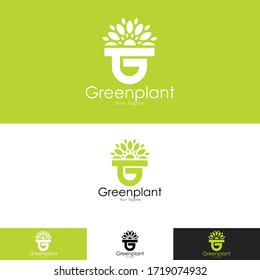 Green Leaf Logo Design With Color combination 