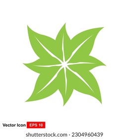 Green leaf logo design graphic vector illustration perfect for leaf symbol, icon and logo