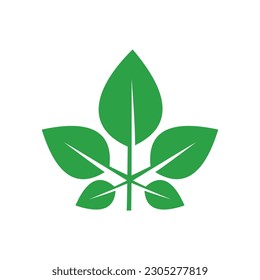 green leaf logo design graphic vector illustration perfect for leaf symbol, icon and logo