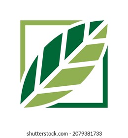 Plantilla de diseño de logotipo foliar y cuadrado
