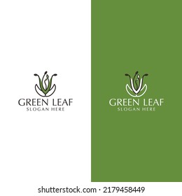 Plantilla de icono de diseño de logotipo de hoja verde