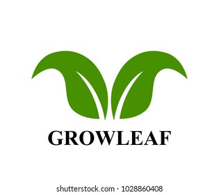 green leaf logo design illustration for agriculture industries or business