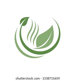 green leaf logo design inspiration