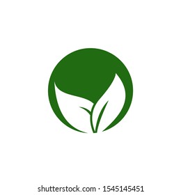 green leaf logo design inspiration