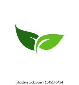 green leaf logo design inspiration