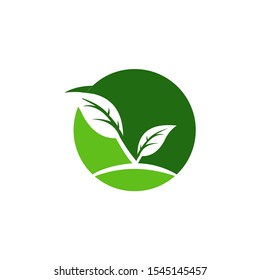 green leaf logo design inspiration