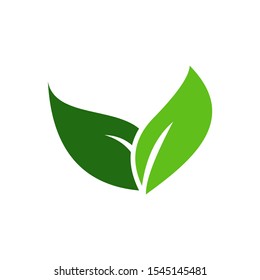 green leaf logo design inspiration