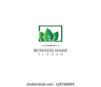 Green leaf  logo design nature ecology