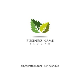 Green leaf  logo design nature ecology