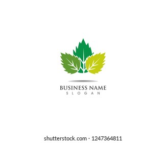 Green leaf  logo design nature ecology