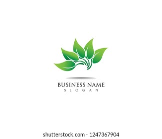 Green leaf  logo design nature ecology