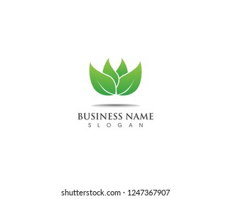 Green leaf  logo design nature ecology