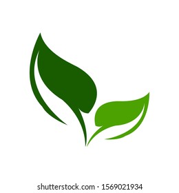 Green Leaf Logo Design Stock Vector