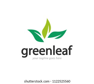 Green Leaf Logo Design Template Vector