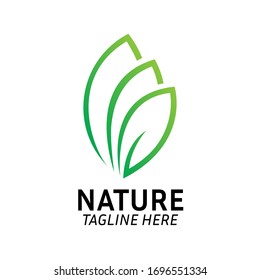 Vector de plantilla de diseño de logotipo de hoja verde