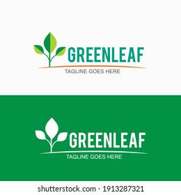 Plantilla de diseño del logotipo de hoja verde para la empresa 