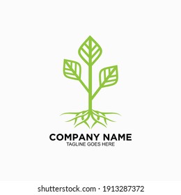 Plantilla de diseño del logotipo de hoja verde para la empresa 