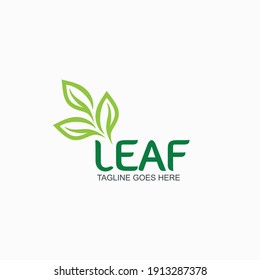 Plantilla de diseño del logotipo de hoja verde para la empresa 