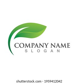 Green leaf logo design template modern leaf logo vector 
