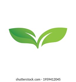 Green leaf logo design template modern leaf logo vector 
