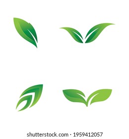 Green leaf logo design template modern leaf logo vector 
