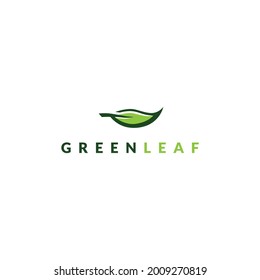 green leaf logo design. logo template
