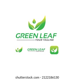 plantilla de diseño de logotipo de hoja verde Pro Vector