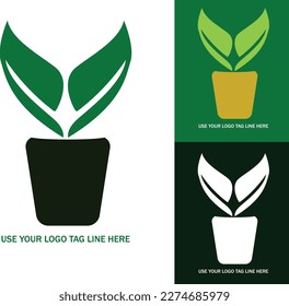 Plantilla de diseño de logotipo de hoja verde