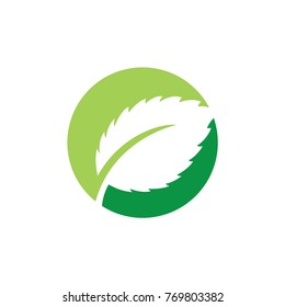 Green leaf logo design template