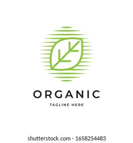 Green leaf logo design vector template