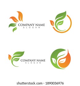 green leaf logo design vector icons