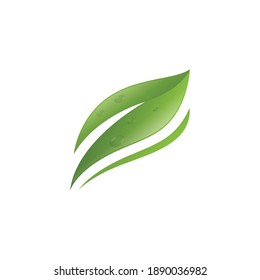 green leaf logo design vector icons