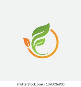 green leaf logo design vector icons