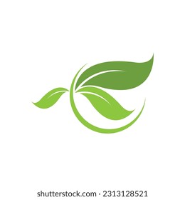 green leaf logo design vector icons