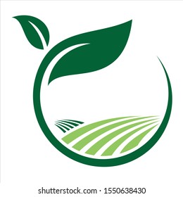 Green leaf logo designs. Green Nature Farm Logo Design Template. 