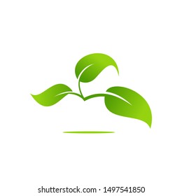 Green leaf logo eco symbol  ,vector illustration