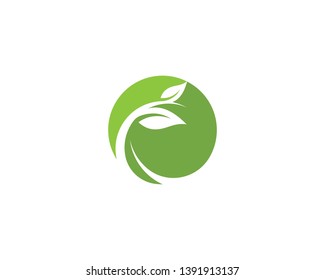 Green leaf logo ecology nature element vector icon