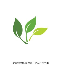 Green leaf logo ecology nature element vector icon