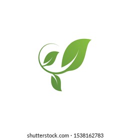 Green leaf logo ecology nature element vector