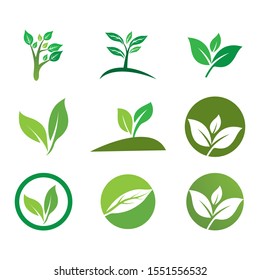 Green leaf logo ecology nature element vector icon