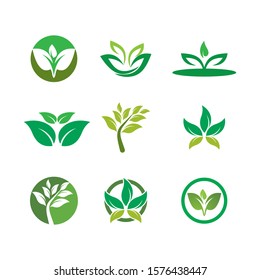 Green leaf logo ecology nature element vector 