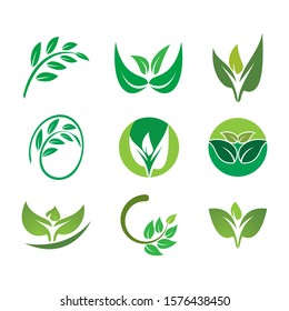 Green leaf logo ecology nature element vector 