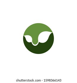 Green leaf logo ecology nature element vector icon