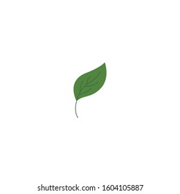 Green leaf logo ecology nature element vector icon
