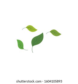 Green leaf logo ecology nature element vector icon