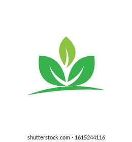 Green leaf logo ecology nature element vector icon