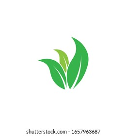 Green leaf logo ecology nature element vector icon