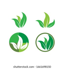 Green leaf logo ecology nature element vector icon