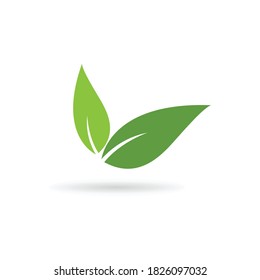 Logo de la hoja verde ecología naturaleza elemento vector icono